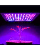 Lampy LED do uprawy roślin
